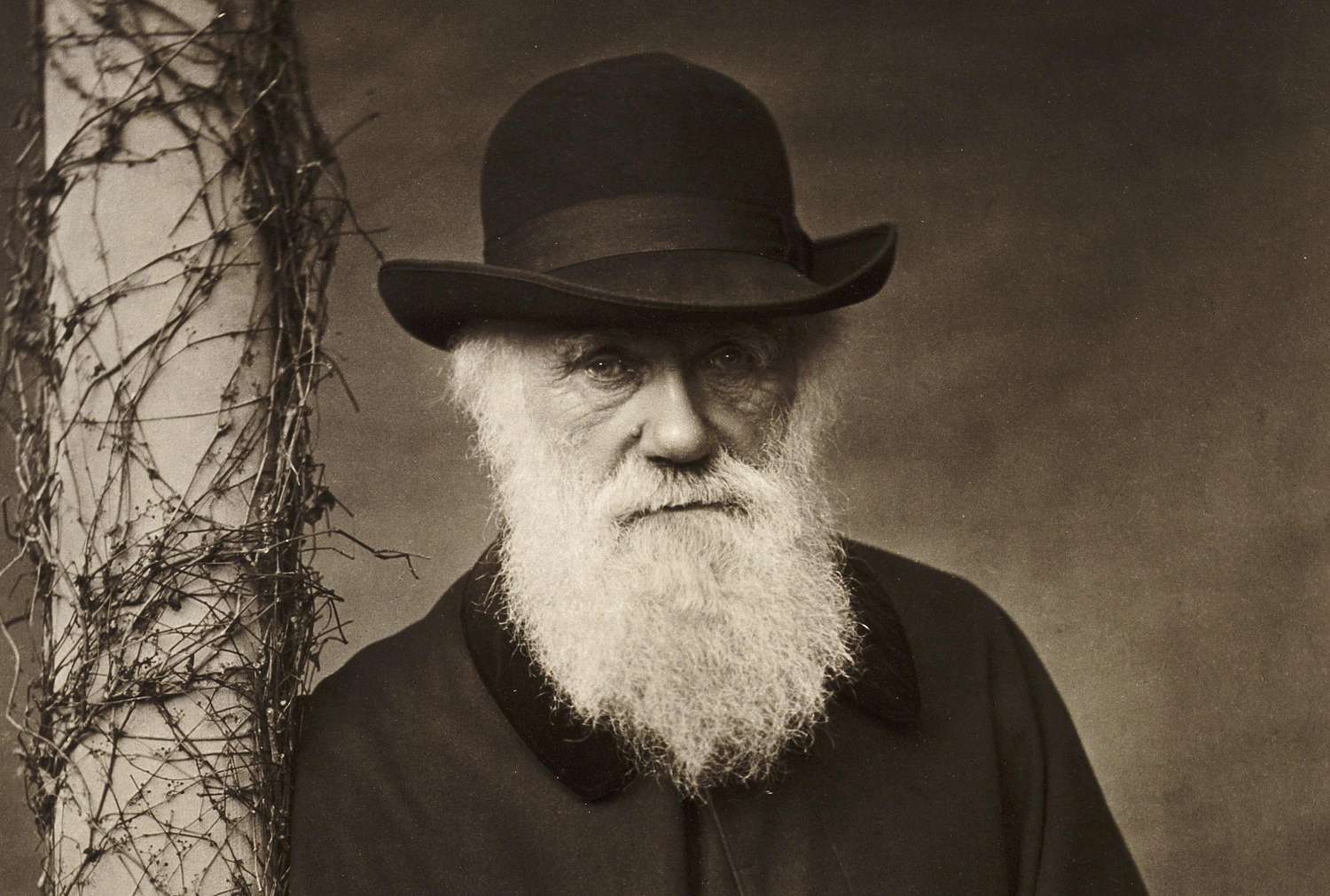 Evrim Teorisinin Babası Olan Charles Darwin Kimdir?