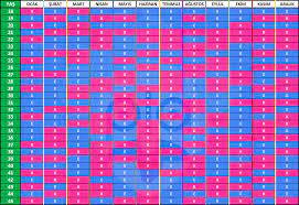 Çin Takvimi İle Bebek Cinsiyeti Nasıl Belirlenir?