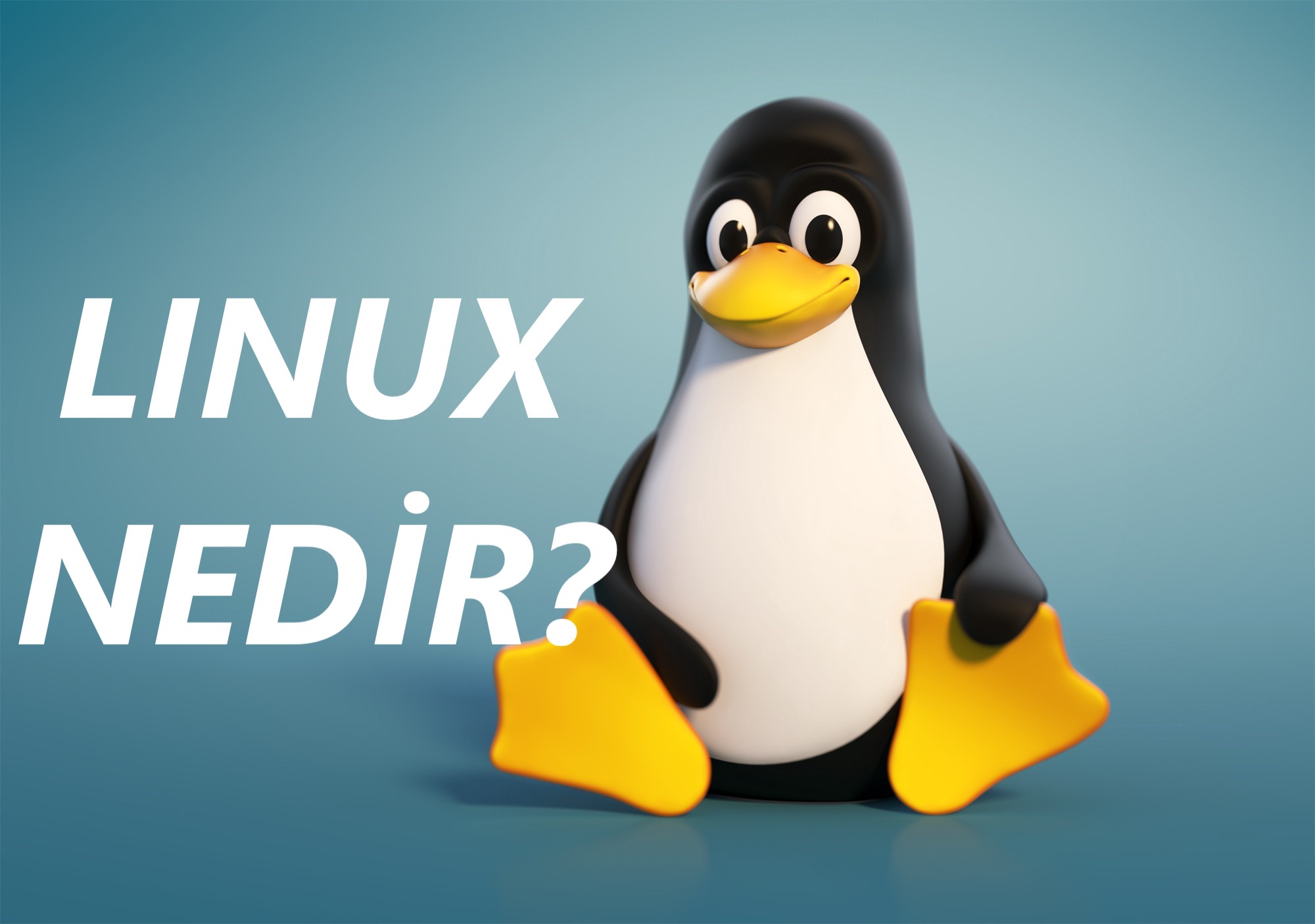 Linux Nedir?