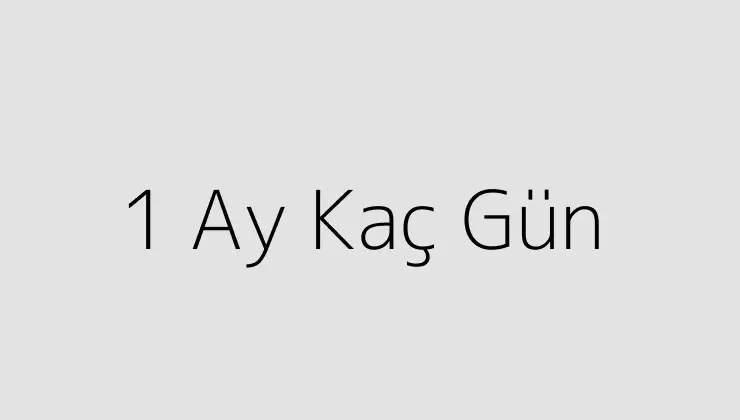 1 Ay Kaç Gün.