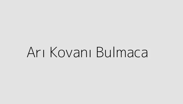 Arı Kovanı Bulmaca