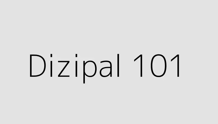 Dizipal 101