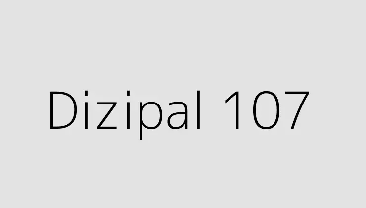 Dizipal 107