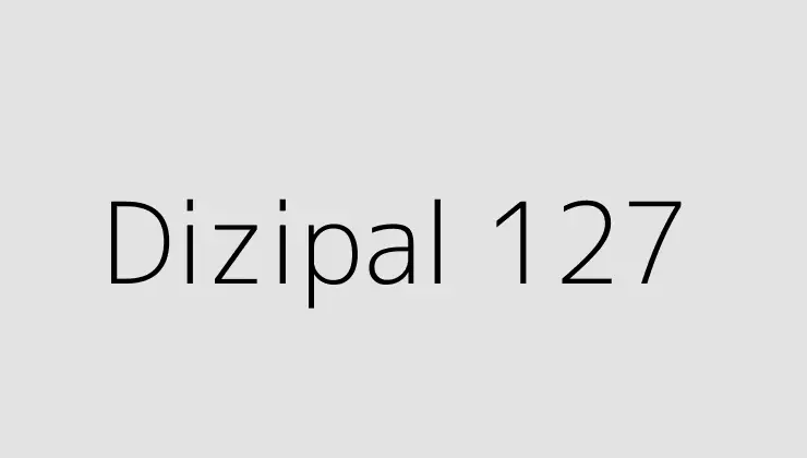 Dizipal 127