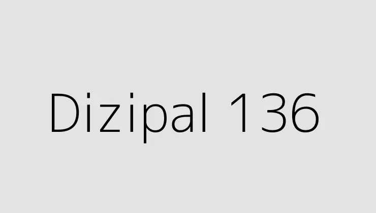 Dizipal 136