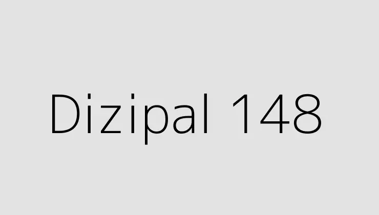 Dizipal 148