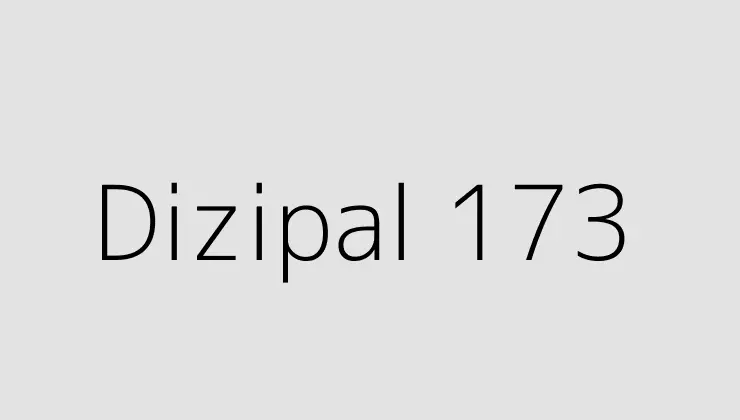 Dizipal 173