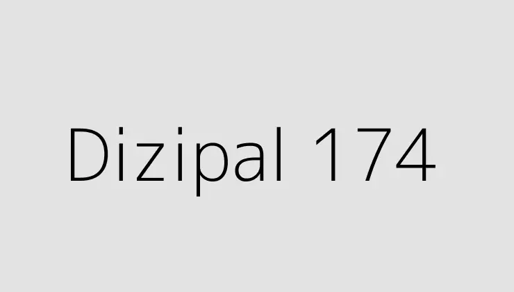 Dizipal 174