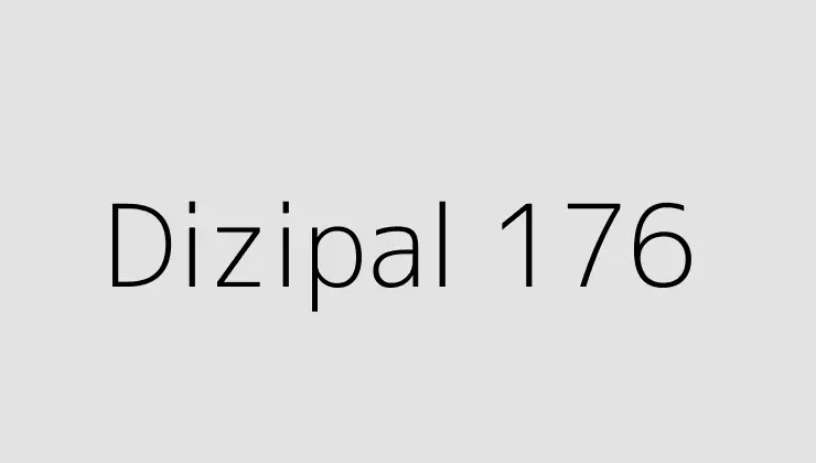 Dizipal 176