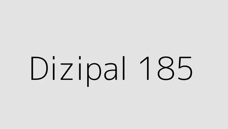 Dizipal 185