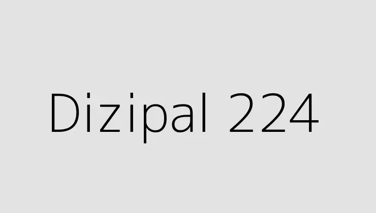 Dizipal 224