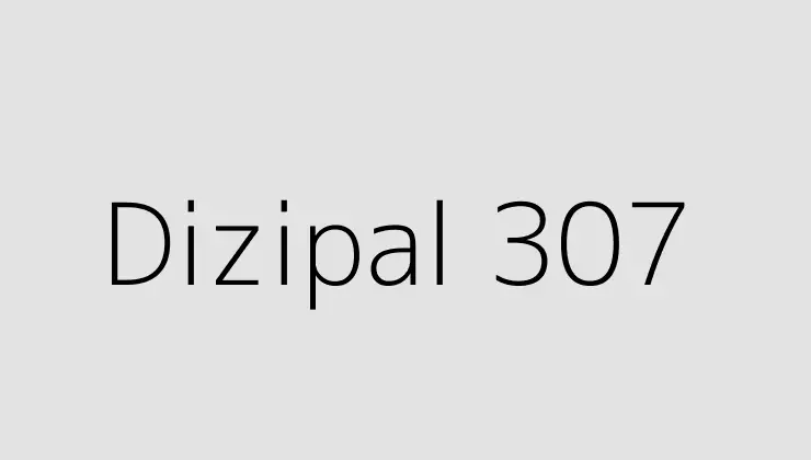 Dizipal 307