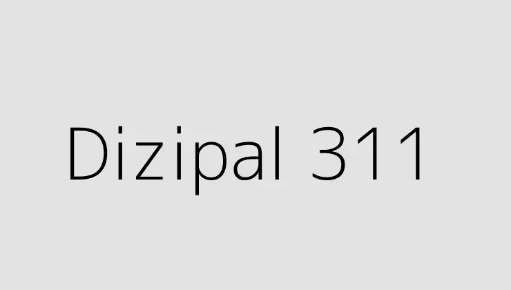 Dizipal 311