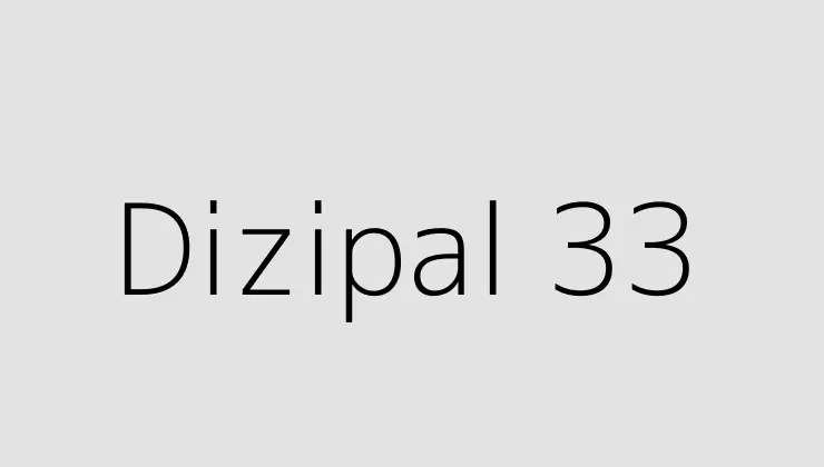 Dizipal 33