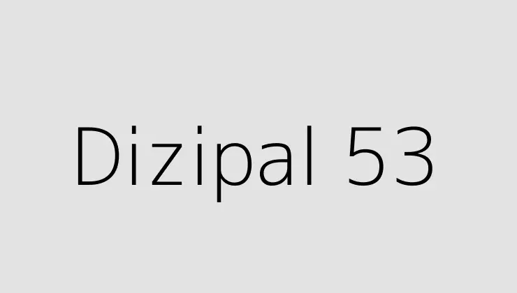 Dizipal 53