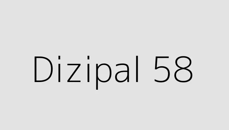 Dizipal 58