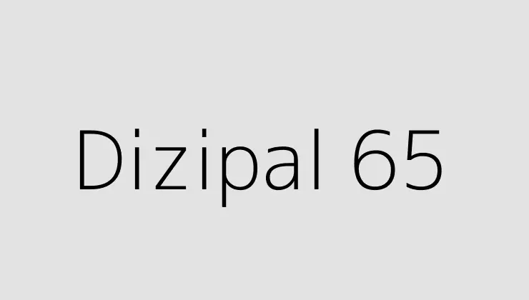 Dizipal 65