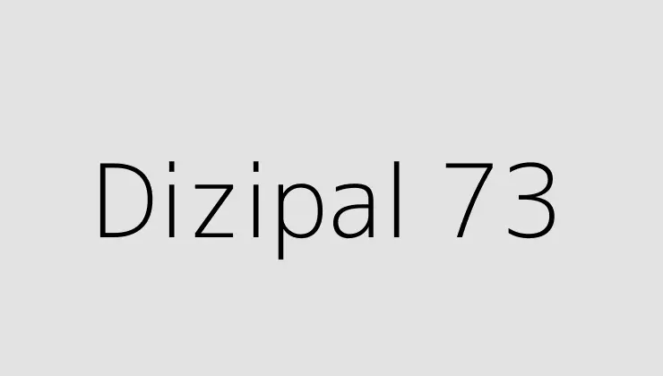 Dizipal 73