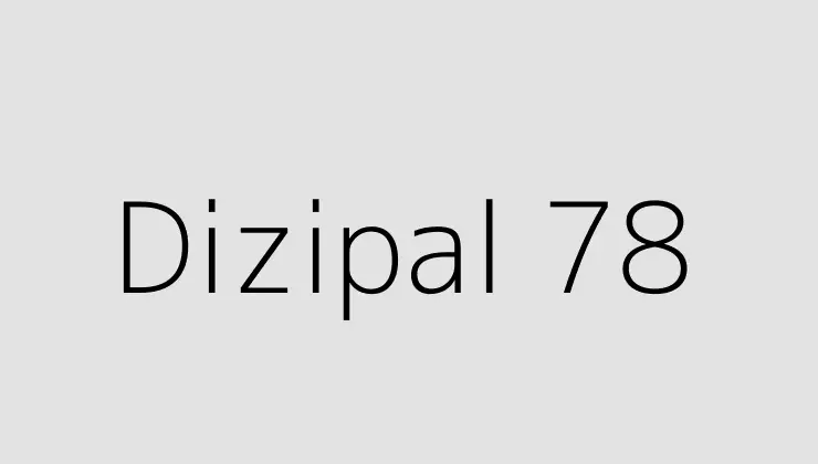 Dizipal 78