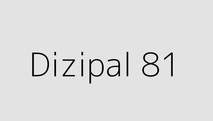 Dizipal 81