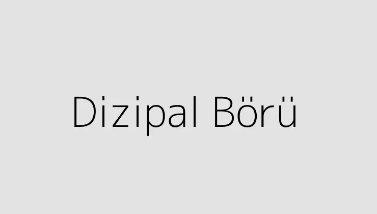 Dizipal Börü