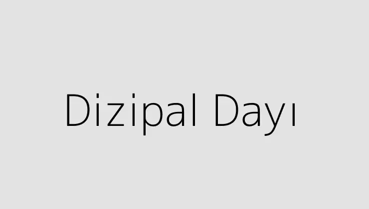 Dizipal Dayı