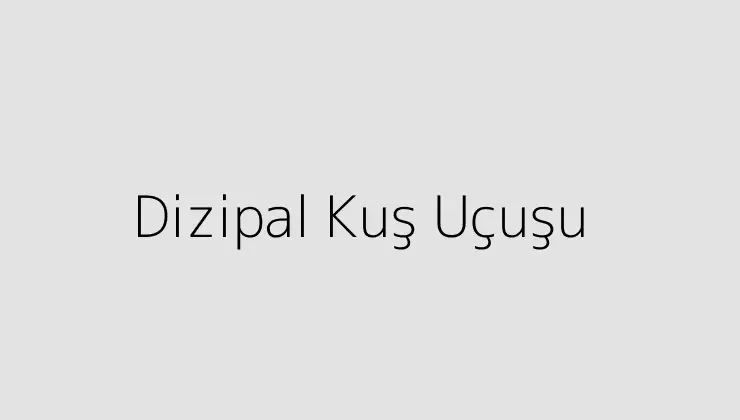 Dizipal Kuş Uçuşu