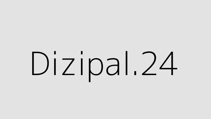 Dizipal.24