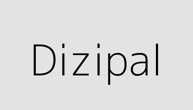 Dizipal