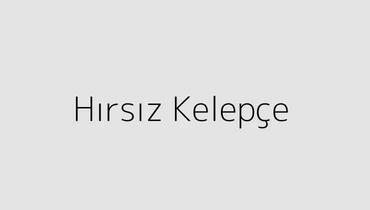 Hırsız Kelepçe