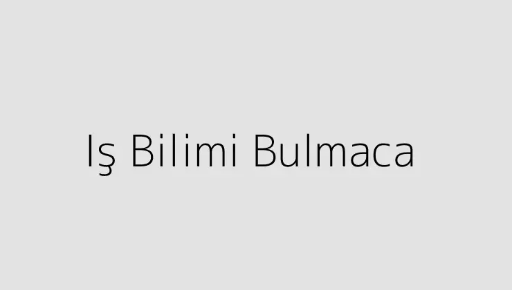 Iş Bilimi Bulmaca