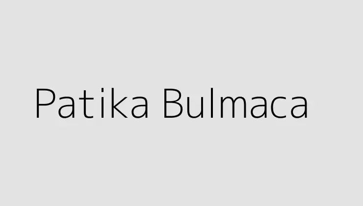 Patika Bulmaca