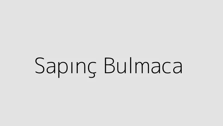 Sapınç Bulmaca