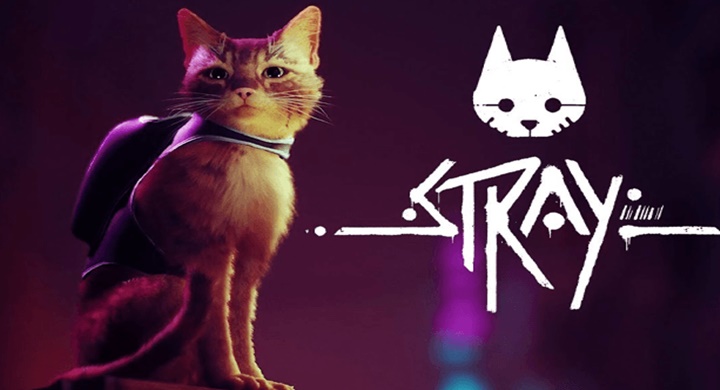 Stray, Xbox platformu için piyasaya sürülüyor