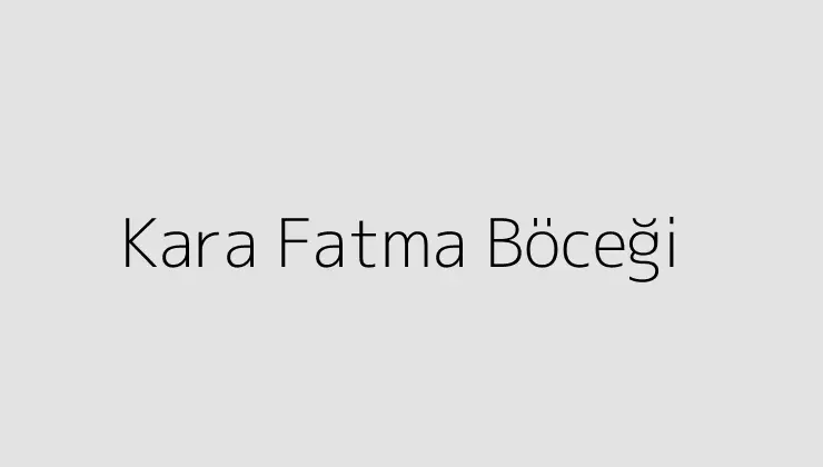 Kara Fatma Böceği