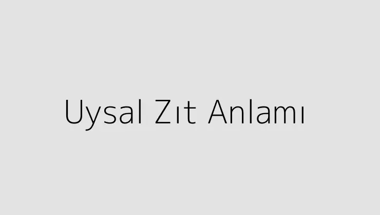 Uysal Zıt Anlamı