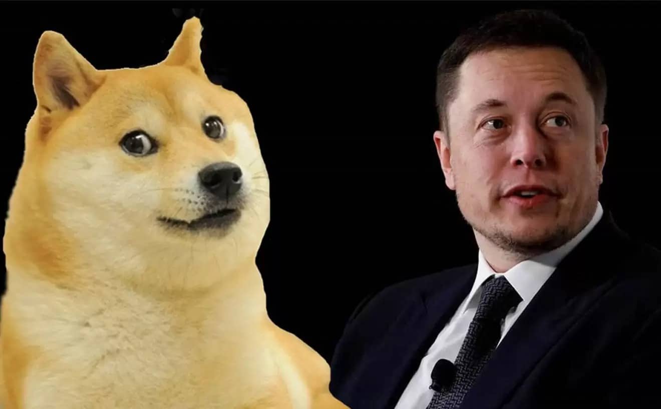 Elon Musk Dogecoin nedeniyle dava edildi